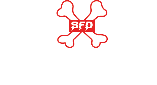 Shoes For Dogs