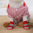 dog shoes for heat