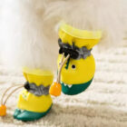 puppy shoes