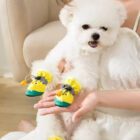 yellow dog shoes