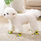 summer dog booties