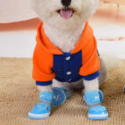 shoe dog