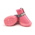 gucci dog shoes