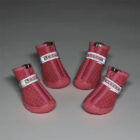gucci shoes for dogs