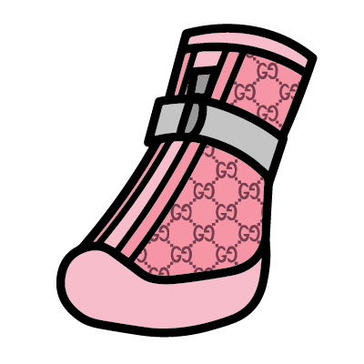gucci dog shoes