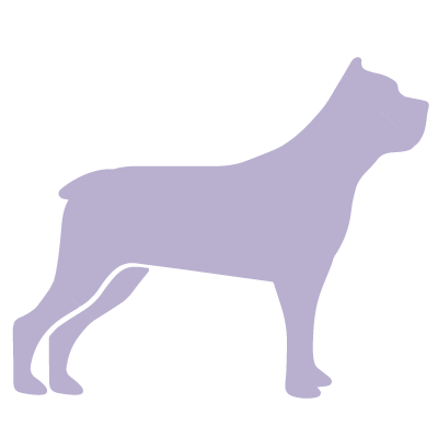 violet dog icon